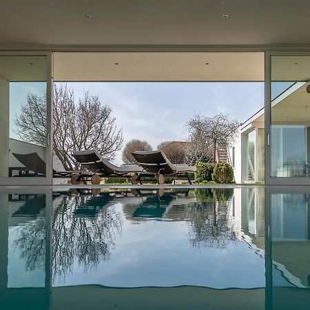 Country Lake Villa Breitenbrunn am Neusiedler See Exterior foto