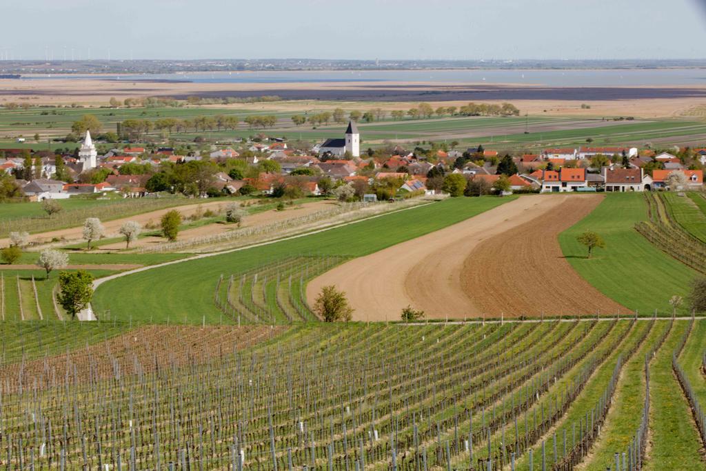 Country Lake Villa Breitenbrunn am Neusiedler See Exterior foto