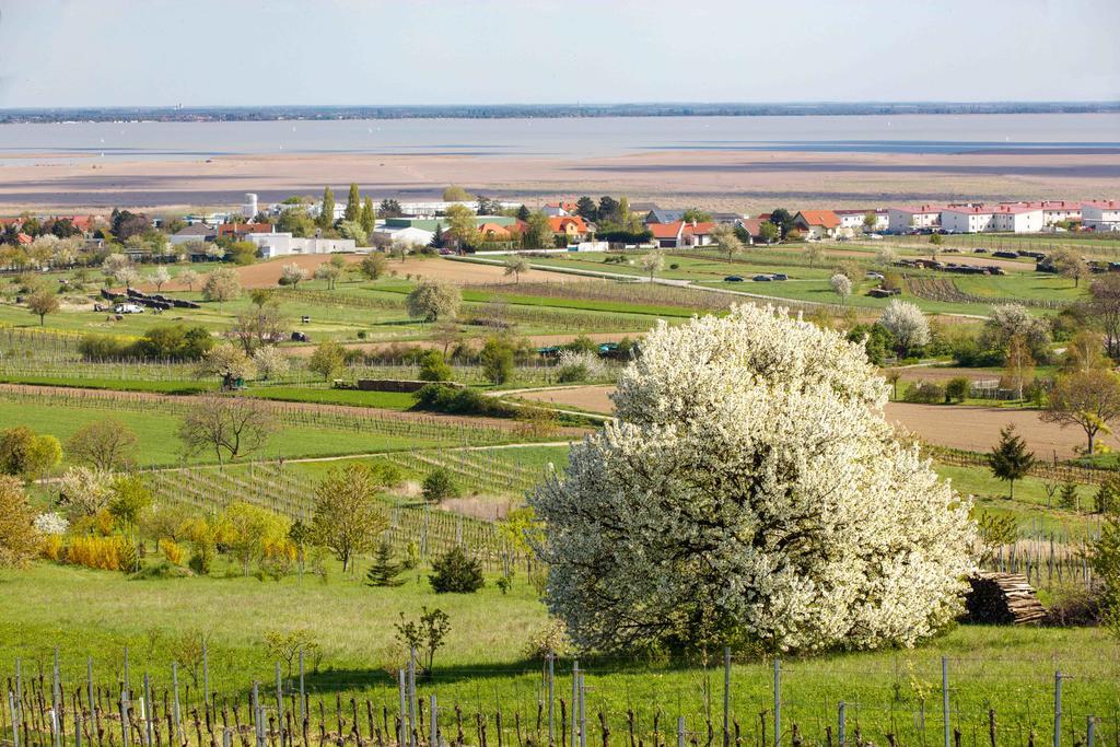 Country Lake Villa Breitenbrunn am Neusiedler See Exterior foto